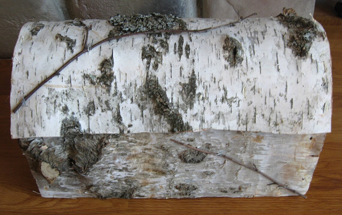 Unique white birch wedding card box Etsy