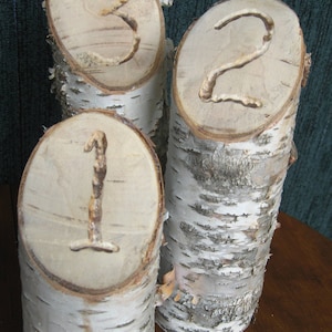 May include: Three birch wood logs with the numbers 1, 2, and 3 carved into them. The logs are natural in color and have a rough texture.