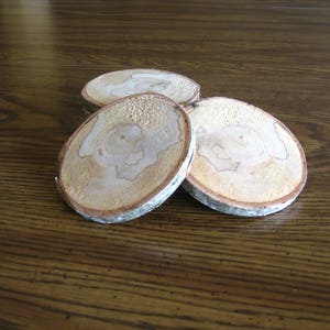 beautiful white birch coasters (free shipping)