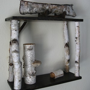 Unique white birch shelf