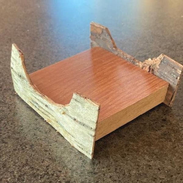 Natural birch bark mini canoe display stand