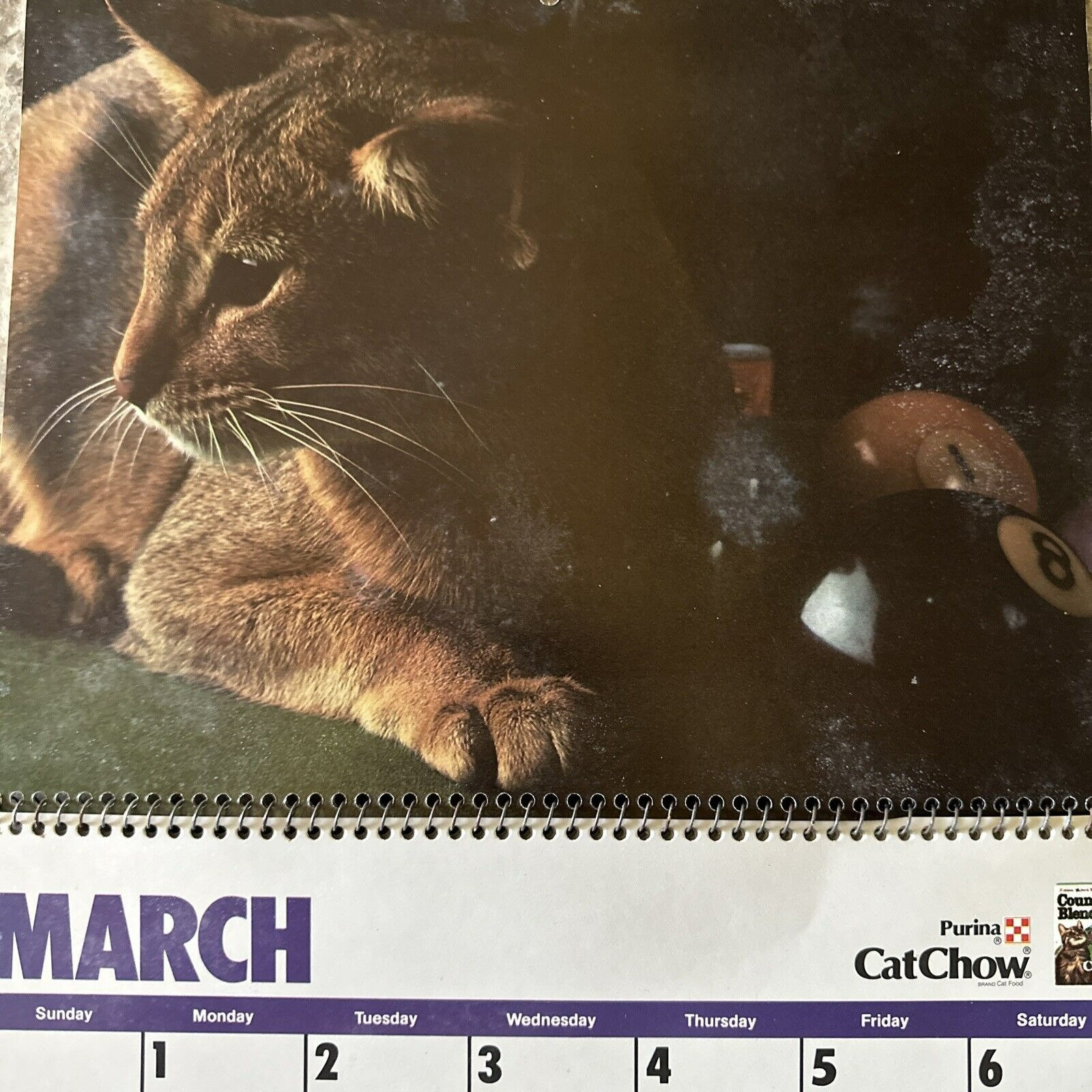 80s/VINTAGE/82年−HIGHT−TIMES/CALENDAR。 FAW [1982 HIGH TIMES Calendar - FAW Books]