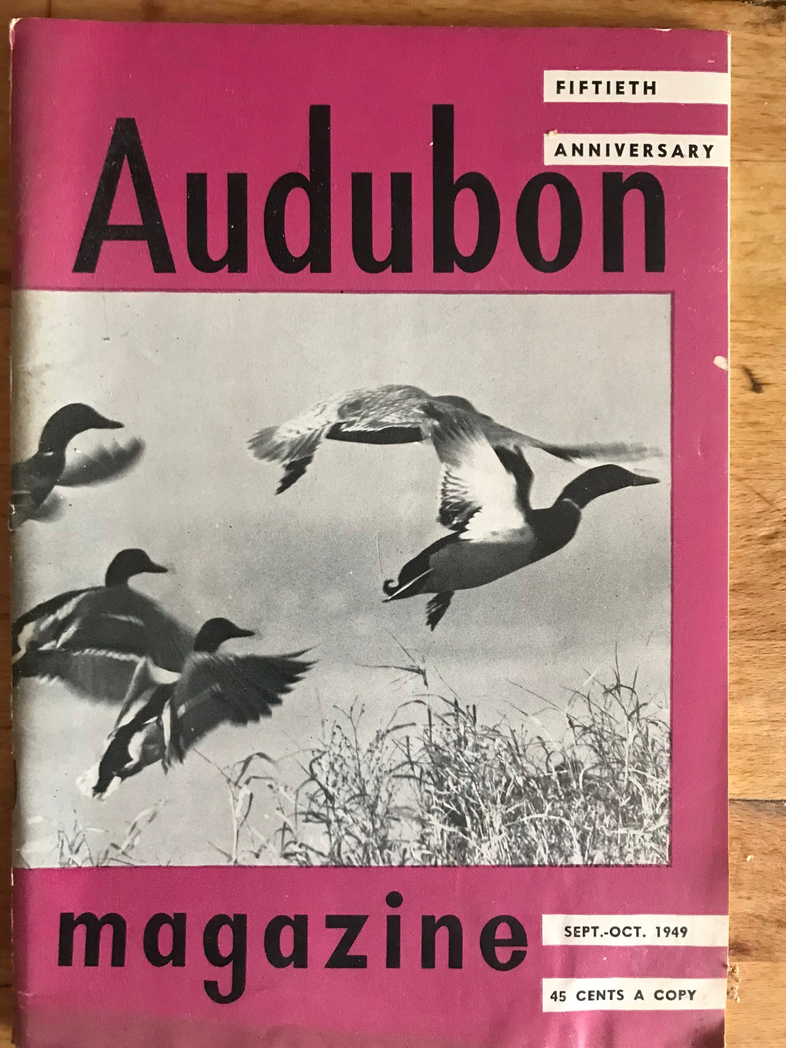 Audubon Magazine September October 1949 Etsy