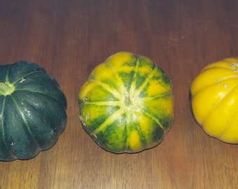 25 Seeds of Noir De Carmes Melon, organically grown -- rare heirloom from France!