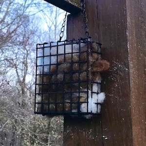 May include: A black metal wire cage feeder filled with suet and hanging from a wooden post.