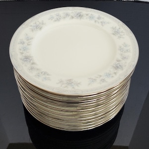 Noritake Buena Vista - Etsy