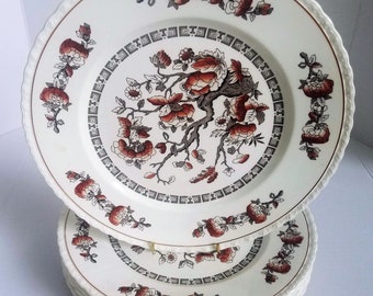 Myott Staffordshire Dynasty Dinner Plate Set Of 7