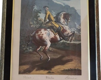 Palottade large Engraving by the equestrian art of Johann Elias Ridinger RARE