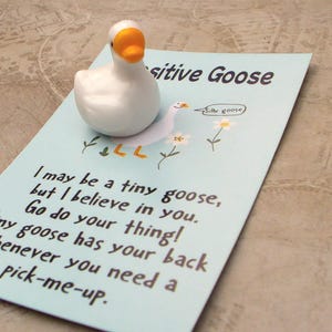 Pocket Hug Goose - Pegno d'amore a forma di oca, regalo per San Valentino, un ricordo sentito, un ricordo, un affetto prezioso, un dono d'amore infinito.