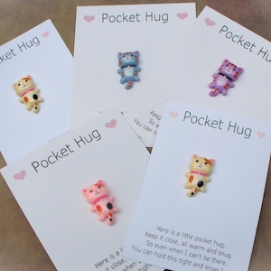 Ficha de gato de abrazo de bolsillo: un recuerdo conmovedor