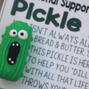 Pickle de apoyo emocional: ficha de amor de Pickle, abrazo de bolsillo, un recuerdo sincero, un recuerdo, un afecto preciado, un regalo de amor infinito.