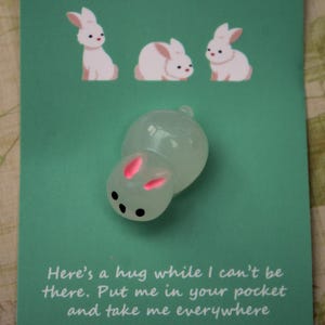 Conejito de abrazo de bolsillo: un símbolo de amor de conejo que brilla en la oscuridad, un recuerdo sincero, un recuerdo, un afecto preciado, un regalo de amor infinito.