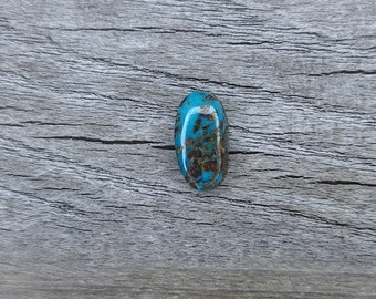 Sierra Nevada Turquoise {SN1163} Cabochon | Gemstone | Cab | Polished Stone