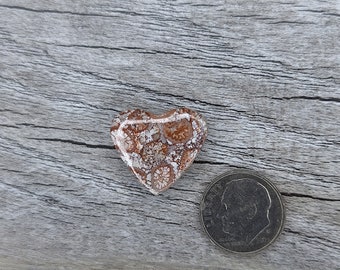 Fossil Coral  {FC20} Cabochon | Gemstone | Cab | Polished Stone