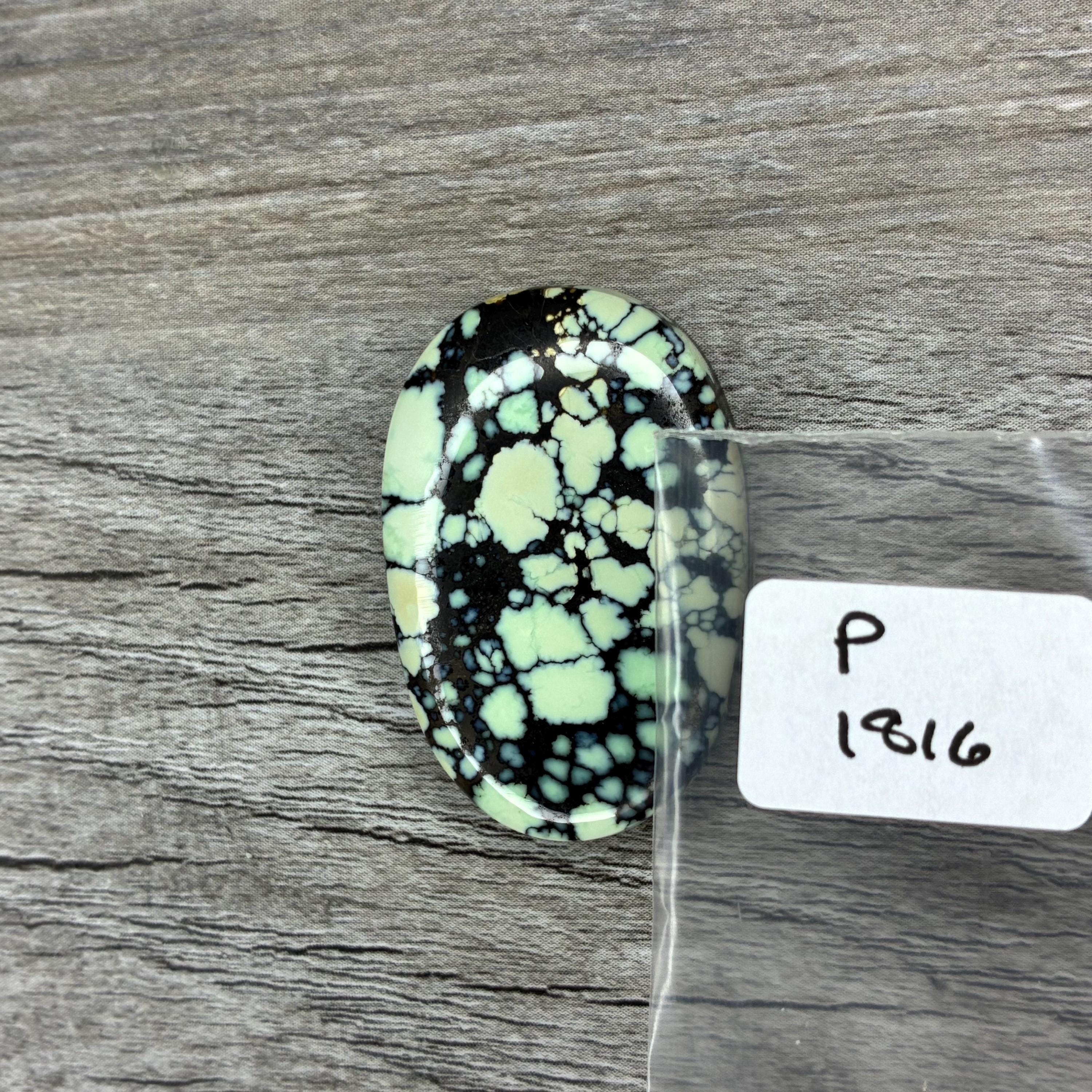 Poseidon Variscite {P1816} Cabochon | Gemstone | Cab | Polished