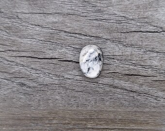 White Buffalo {W1319} Cabochon | Gemstone | Cab | Polished Stone