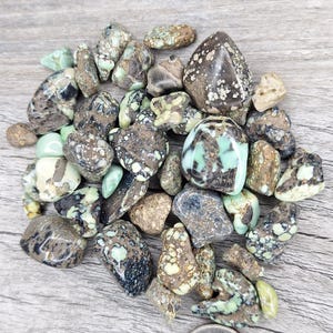 Poseidon Variscite {P1786} Tumble Nuggets | Gemstone | Rough | Polished Stone