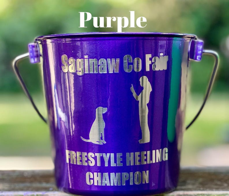 May include: A metallic purple bucket with a silver handle. The front features the text "Saginaw Co Fair" at the top and "FREESTYLE HEELING CHAMPION" at the bottom, with a silhouette graphic of a person standing next to a sitting dog in between.
