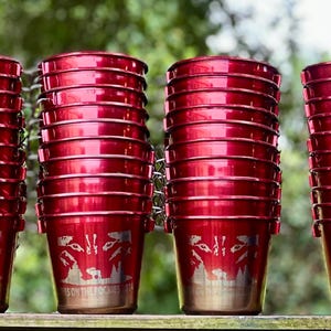 Custom personalized engraved award powder coated stainless steel dog buckets Bild 10