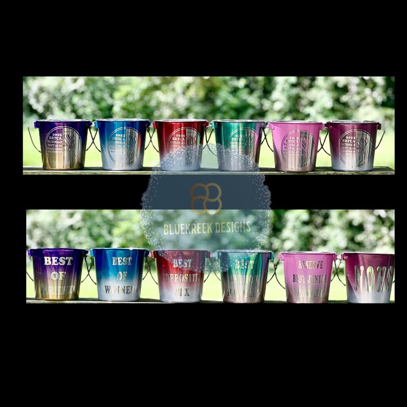 May include: A collection of twelve small metal buckets arranged in two rows, featuring gradient colors including blue, red, green, pink, and purple. Each bucket displays engraved text such as Best of Winners, Best Opposite Sex, and 2025 BRTCA National.