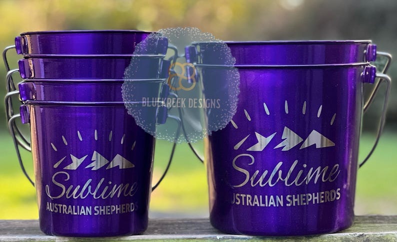 Personalized etched custom powder coated stainless steel dog buckets image 9
