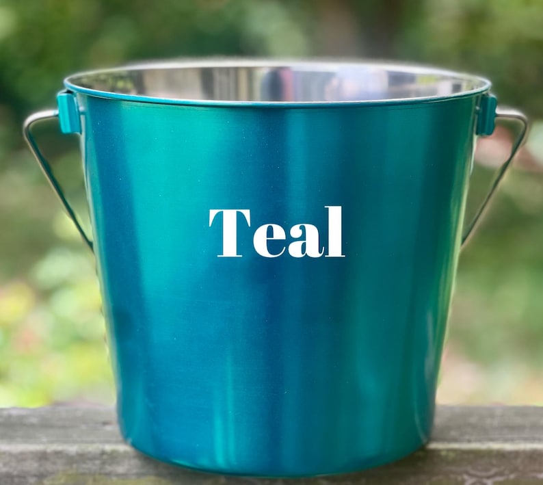 Personalized etched custom powder coated stainless steel dog buckets image 11