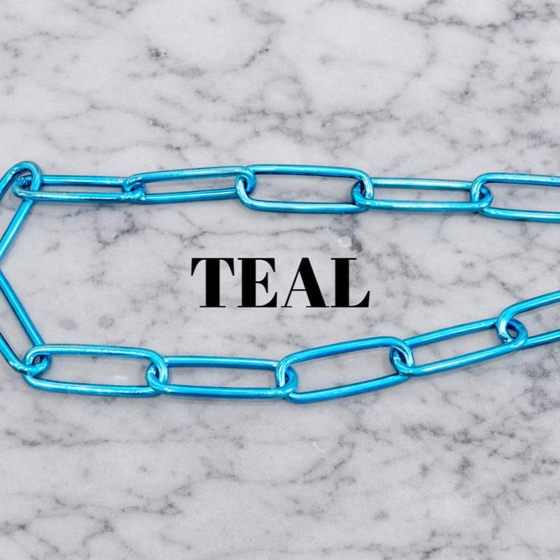 Dog Chain Gear - Etsy