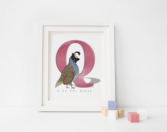 Q is for Quail - Alphabet Illustration Print, Nursery Art, Kid's Decor, Children's Bedroom, Woodland Animal, Bird