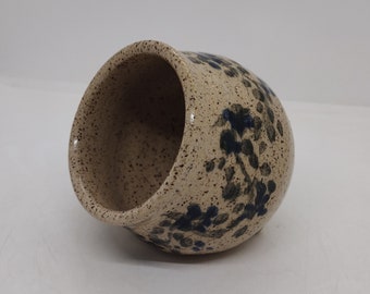 Salero de arándanos Salino de cerdo