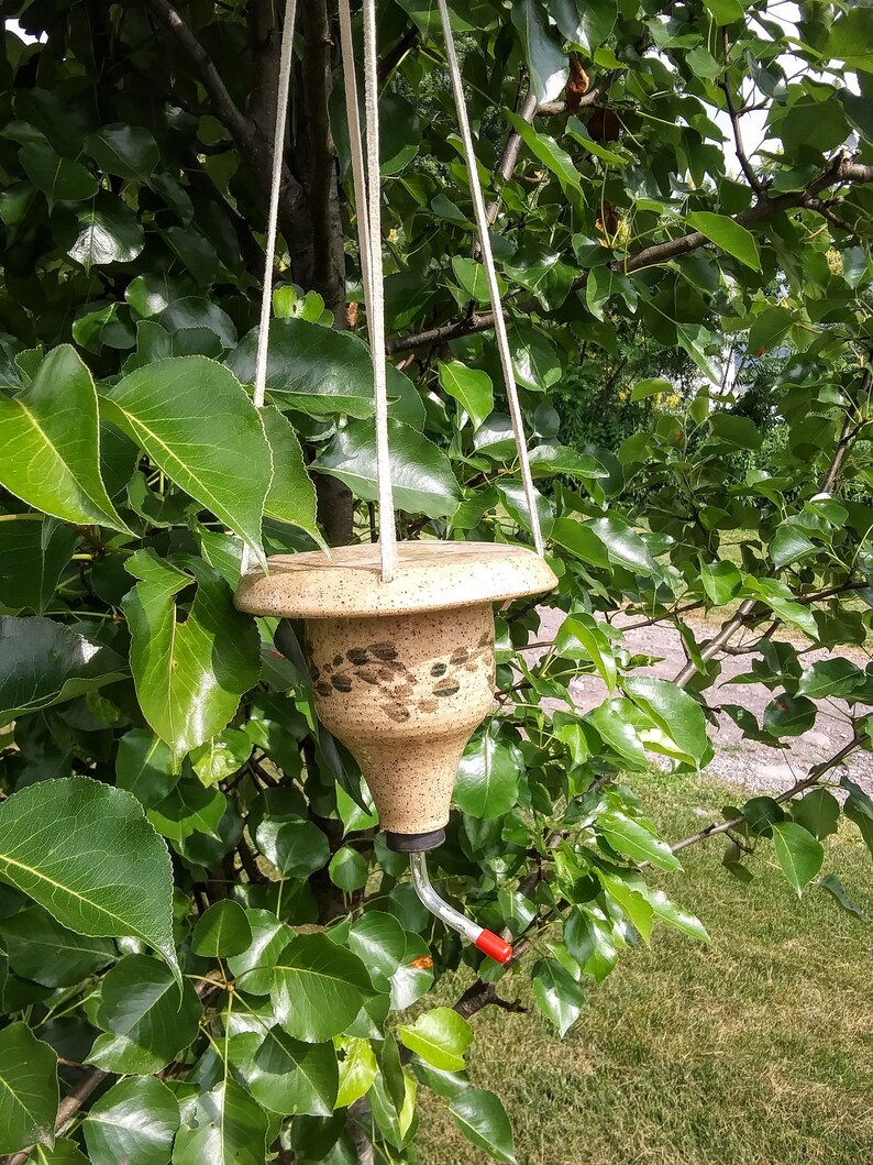 Hummingbird Feeder Etsy