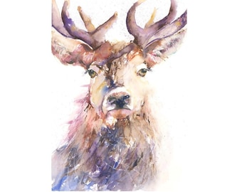 Details about   Fine Art Print of SUMMER STAG original watercolour by HELEN APRIL ROSE   621 