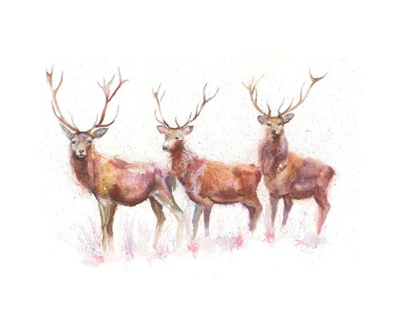 Limited Edition Print of THREE STAGS watercolour by HELEN APRIL ROSE 458