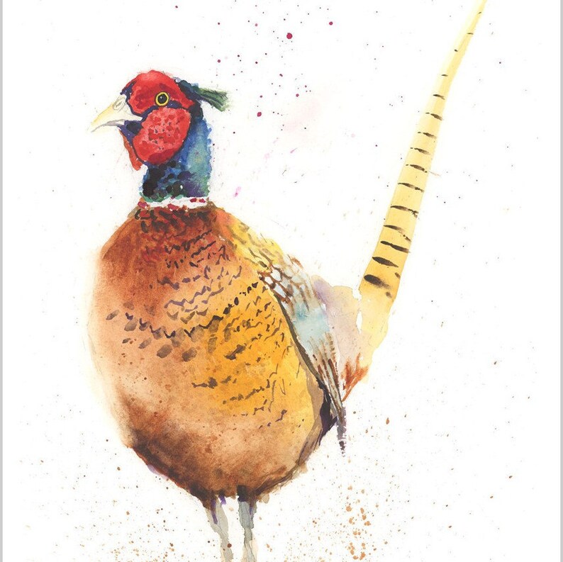 PHEASANT print watercolour