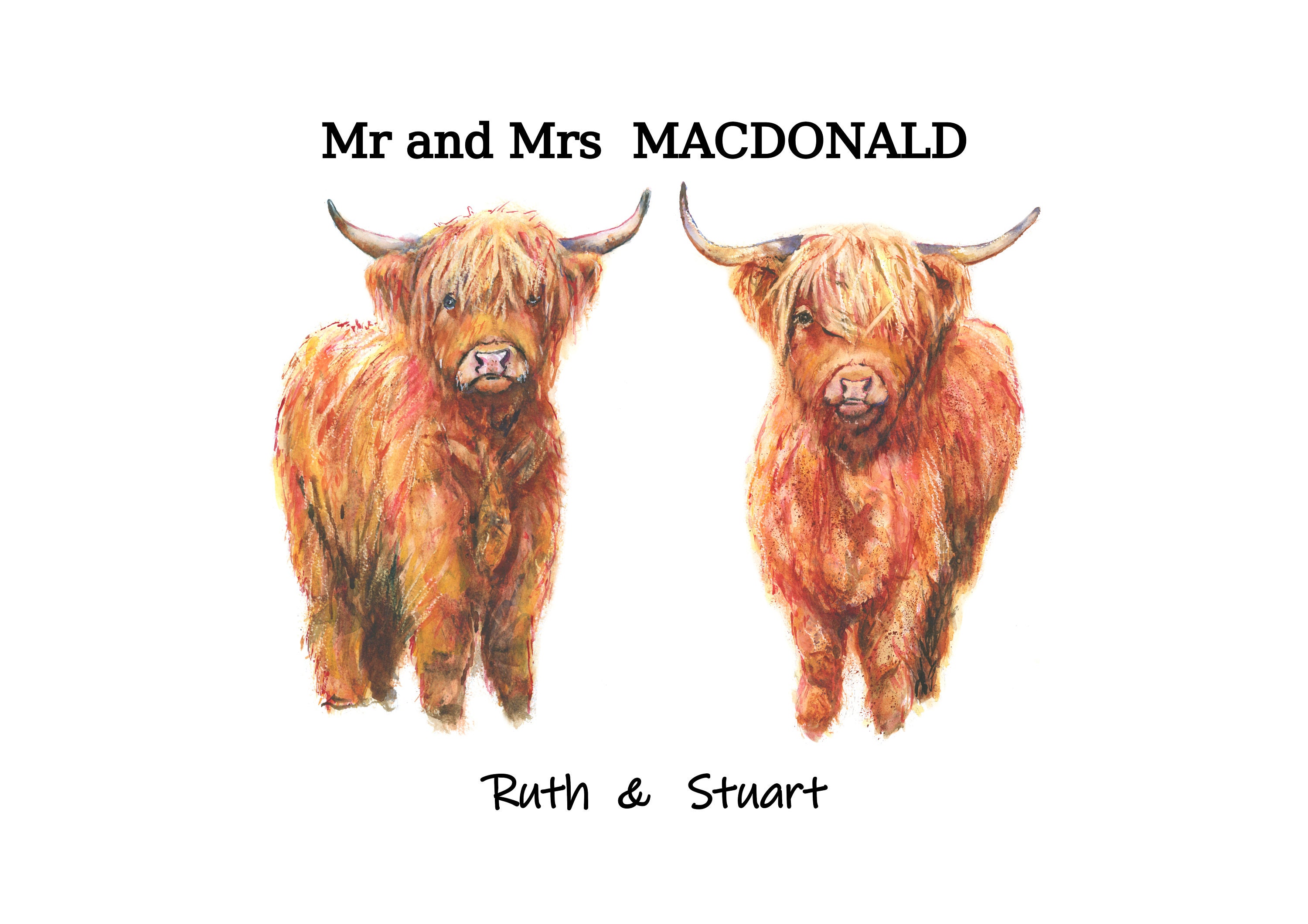 Highland Cow Family Names Print Custom Animal Etsy