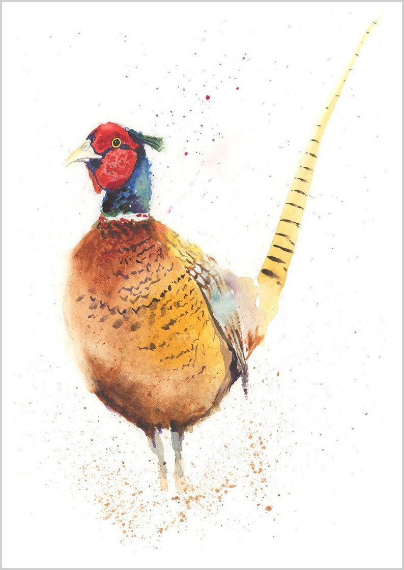 PHEASANT print watercolour