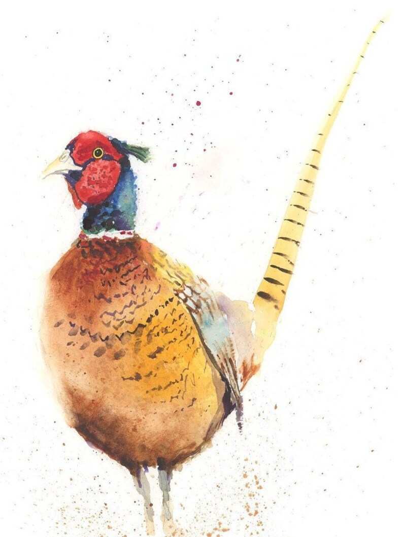 PHEASANT print watercolour