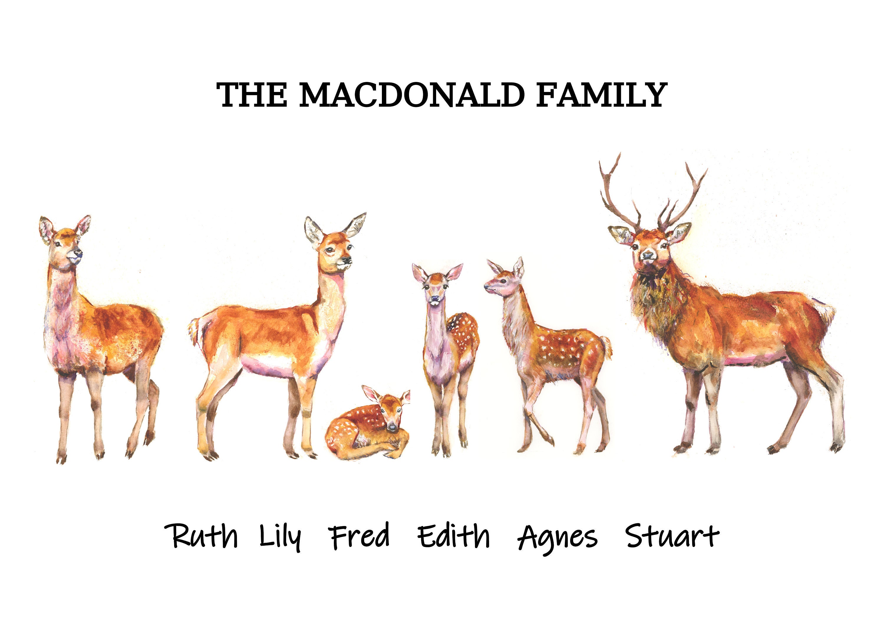 Deer Family Names Print Custom Animal - Etsy Canada Deer Family Names Print Custom Animal - Etsy Canada