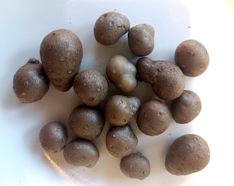 Chinese Wild Yam Bulbils (Dioscorea opposita)| Shan Yao | air tubers | Yamberries aka Batatas | polystachya