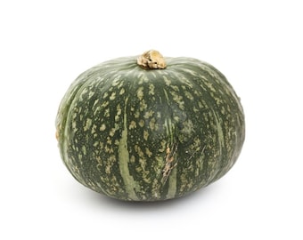 Japanese Pumpkin Kabocha Squash 冬南瓜 - 10 Seeds