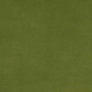 May include: A solid green fabric swatch. The fabric has a slightly textured surface.