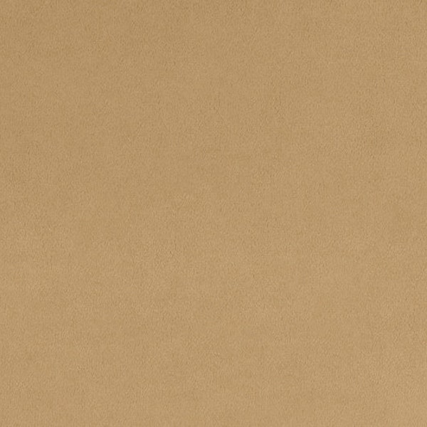 SAND CUDDLE 3 BEIGE Minky Fabric - Sand Shannon Cuddle3 Beige Minky - Sand Minky Fabric - Tan Shannon Minky Fabric Cuddle3 Sand Minky