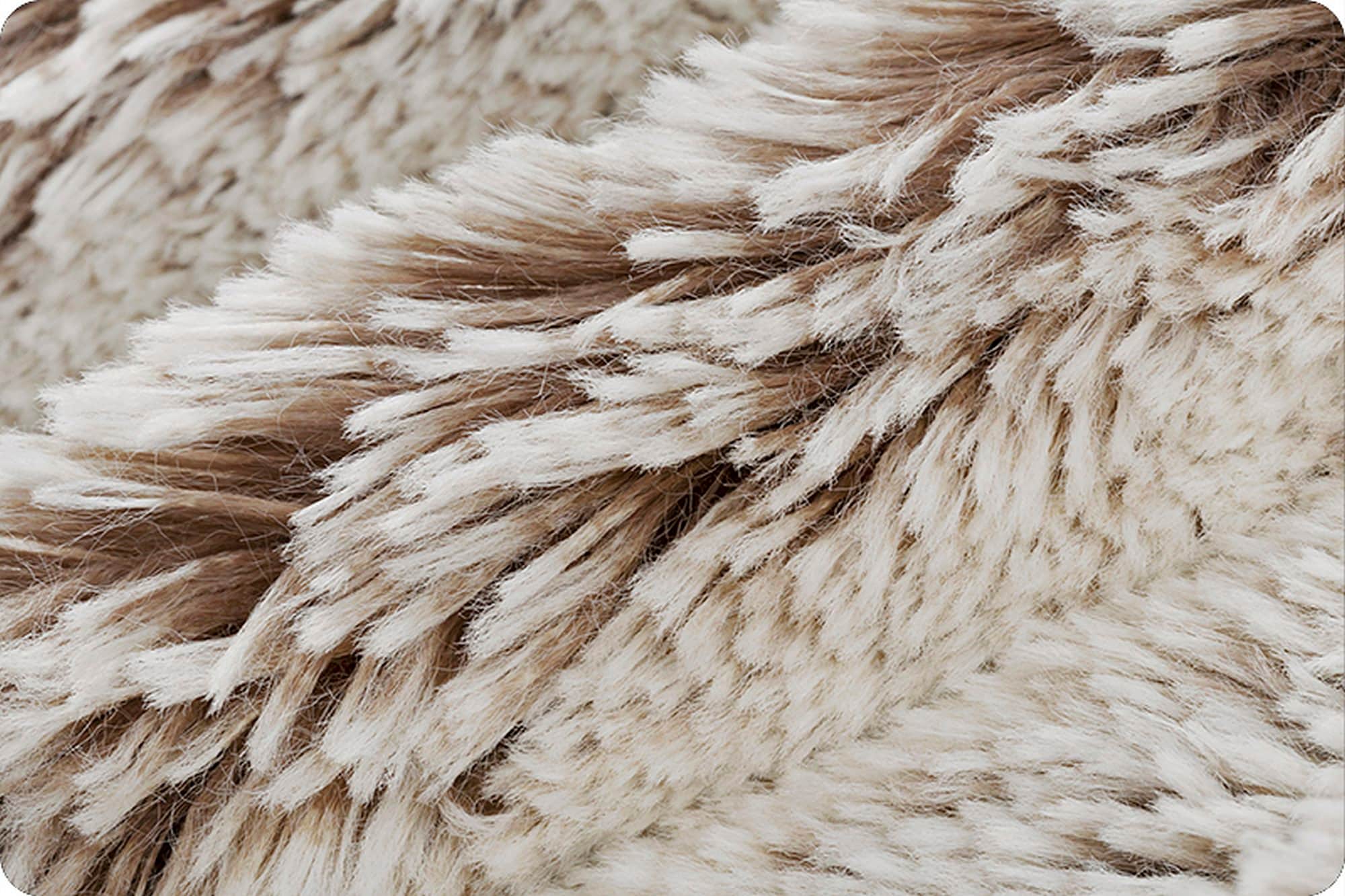 FROSTED SHAGGY Cocoa/snow Minky - Shannon Luxe Cuddle Frosted