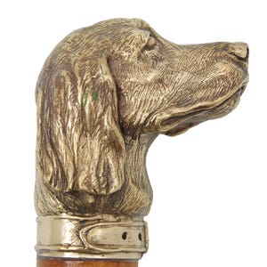 May include: A brass dog head cane handle. The dog's head is detailed with textured fur and a collar. The handle is made of wood. The cane is a decorative item.