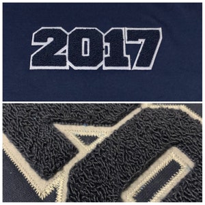 Alpha Lambda Psi Embroidered old school Founding Year Military Greek Sweatshirt