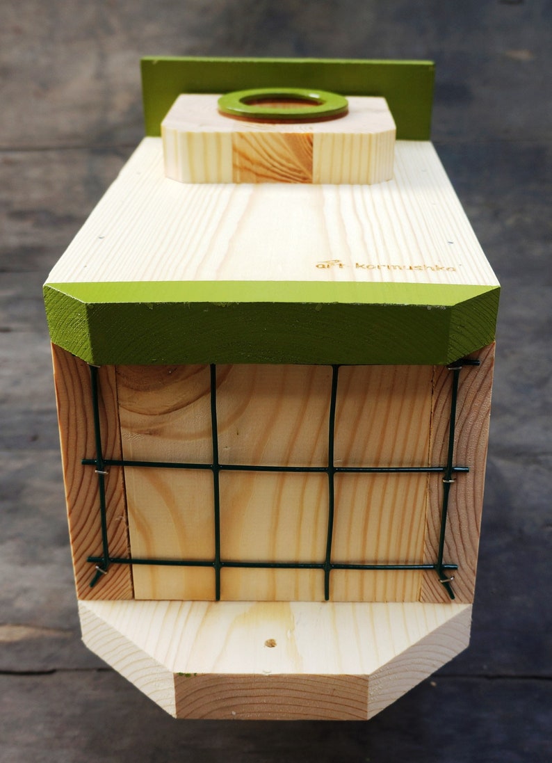 Modern wooden birdhouse predator guard Outdoor bluebird Etsy