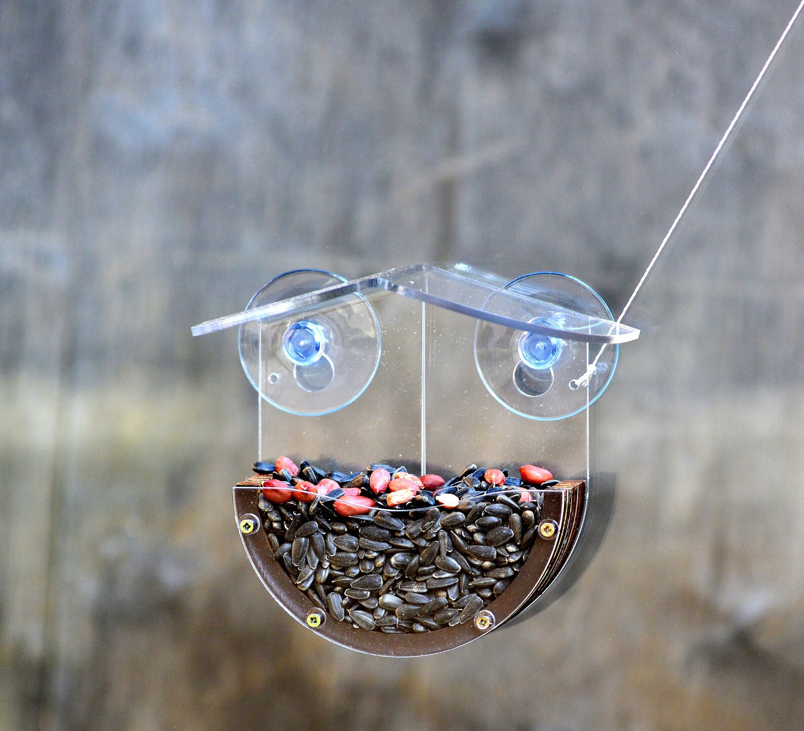 Window bird feeder suction cups Backyard bird watching Etsy
