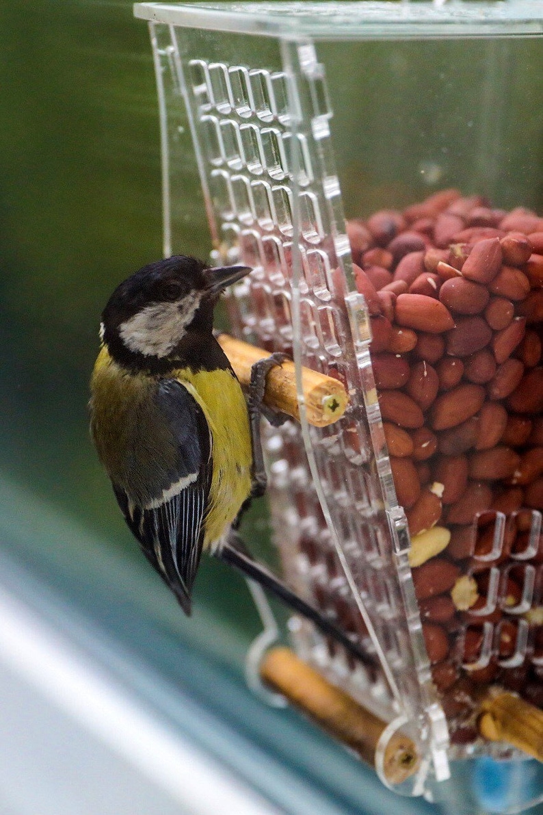 Craft fall crafts christian halloween pumpkin windsock printable church preschool happy bible light sunday happyhomefairy children thanksgiving printables jesus fairy Peanut Window Squirrel Proof Bird Feeder Stopper See Wild | Etsy