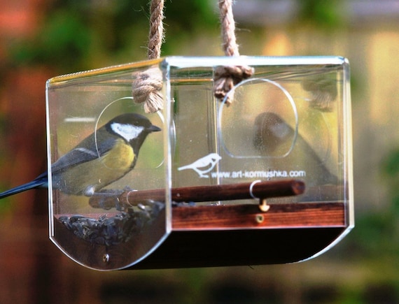 39+ Best Way To Hang A Bird Feeder From A Tree - derekmsimmonss