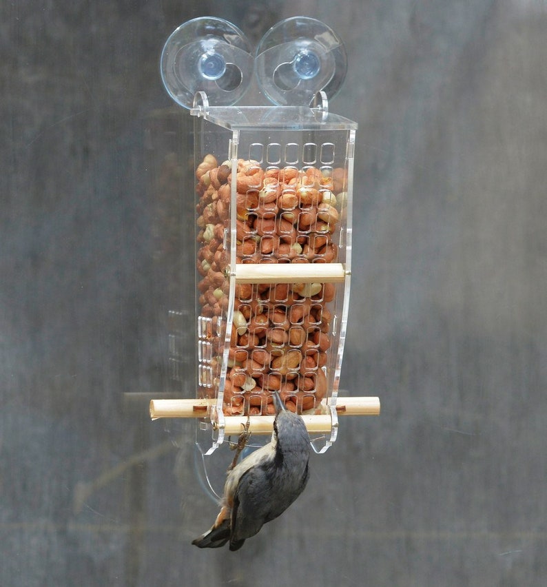 Peanut Window Squirrel Proof Bird Feeder Stopper See Wild Etsy