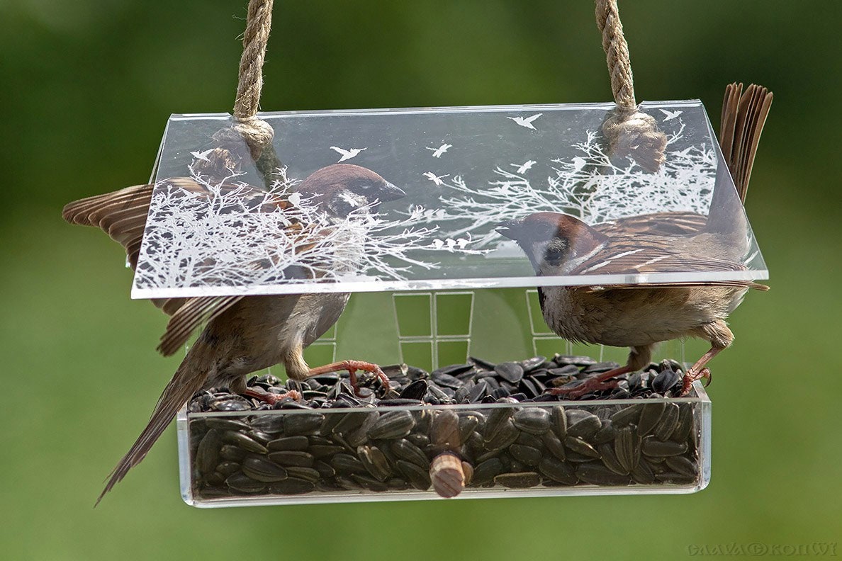 Hanging bird feeder acrylic White Blue Clear Laser Etsy